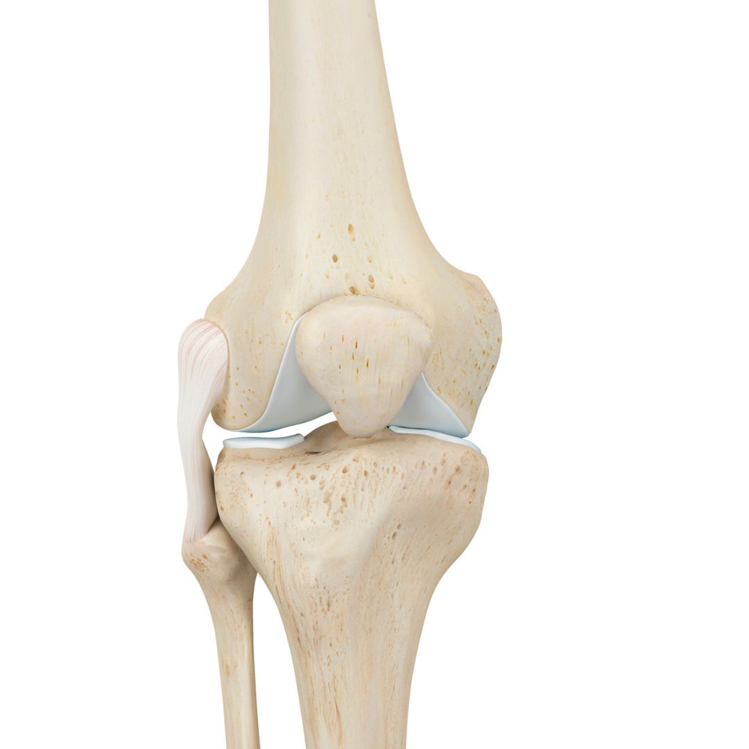 Pain on sale outside of knee